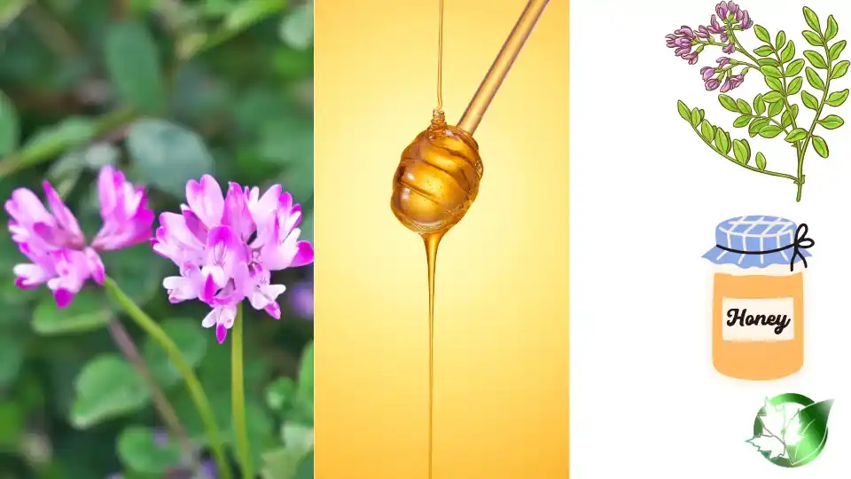 Supplier evaluation for Astragalus Honey should cover specification, packaging, supporting records, logistics, and true import cost.